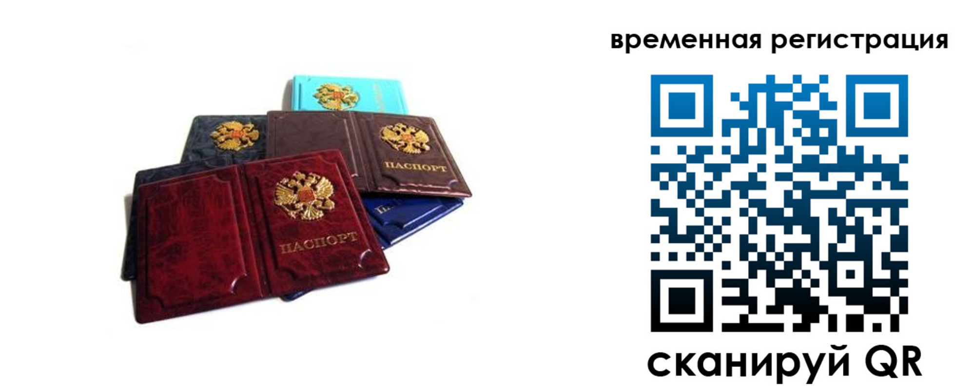 прописка гарантия в Гусеве